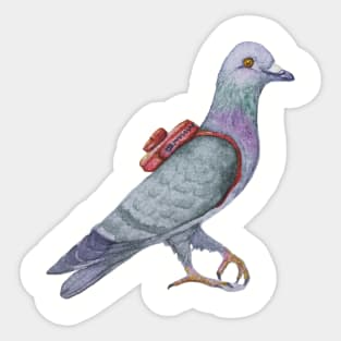 Messenger Pigeon Sticker